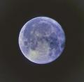 cygnusx1 / Photos / 