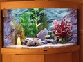 gary1968 / Photos / tank
