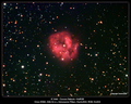 georgei / Photos / Cocoon Nebula