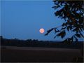 geppetto / Photos / Moon rise  16/10/2008  Panasonic FZ28