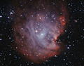 jcm / Photos / NGC 2174/5