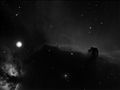 kaiherb / Photos / Horse 020109