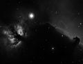 kaiherb / Photos / Horse and Flame 7nm ha