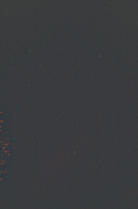 lee / Photos / summer triangle