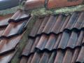 leejfc / Photo / Roof