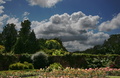 lightbucket / Photos / garden and clouds