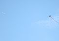 lightbucket / Photos / Kite and Plane