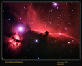 martinb / Photos / Horesehead