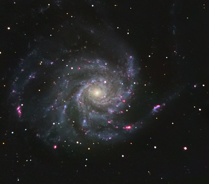 martinb / Photos / Mike M101