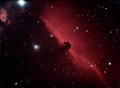 martinb / Photos / Tim - horsehead
