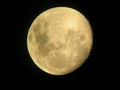 mdstuart / Photo / The Moon