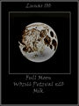 mik / Photo / fullmoon