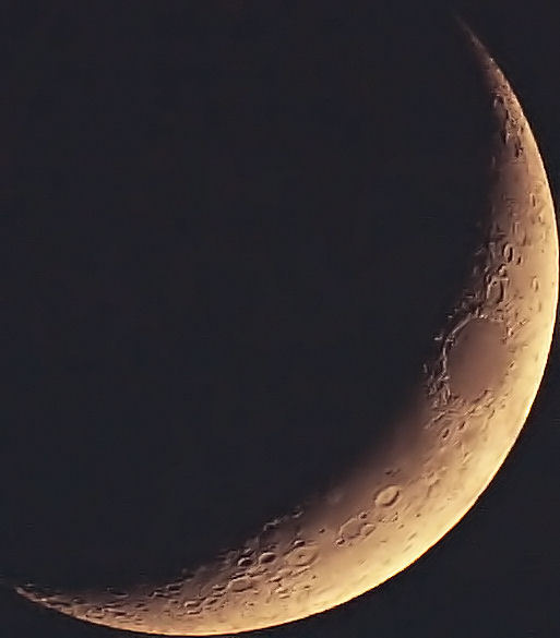 mikkey99 / Photos / ants moon pic