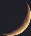 mikkey99 / Photos / ants moon pic