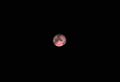 mpeniak / Photos / Mars 25 January 2008