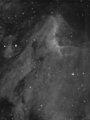 narrowbandpaul / Photos / Pelican