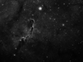 paxo / Photos / Elephants Trunk Nebula