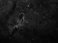paxo / Photos / Elephant's Trunk Nebula