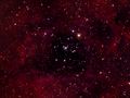paxo / Photo / NGC 2244 (open cluster)