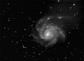 peonic / Photos / M101