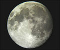 psychobilly / Photo / moon