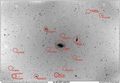 psychobilly / Photo / M81 M82 widefield ID'd