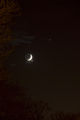 psychobilly / Photos / Moon Venus Jupiter 1