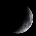 psychobilly / Photos / My first Moon of 2009