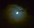 psychobilly / Photos / Arty Moon...