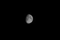 psychobilly / Photo / Moon Exposure