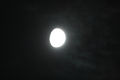 psychobilly / Photo / Moon M45 Occulation