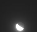 redglare / Photo / the moon and the beehive
