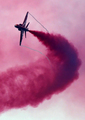 rickstanners / Photo / Red Arrows Hawk