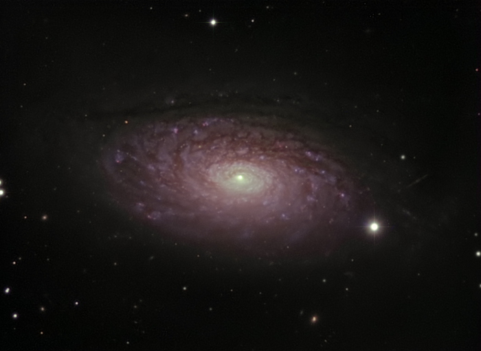 robhodgkinson / Photos / M63, The sunflower galaxy