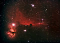 robindurant / Photos / Horse Stars