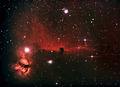 robindurant / Photos / Horse Stars