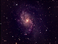 robindurant / Photos / m33