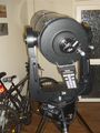 sfarndell / Photo / rear view