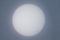 solo / Photo / vENUS TRANSIT