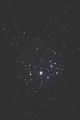 starblazer / Photo / Pleiades Messier 45
