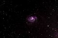 starblazer / Photos / M101
