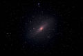 starblazer / Photos / Andromeda M31 Sigma APO 1st Light