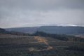 sumodaz / Photo / From the Kielder Observatory Site
