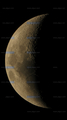 themos / Photos / Lunar Mosaic - Afocal