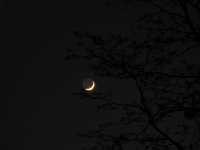 themos / Photos / fun with crescents - 6x zoom PowerShot