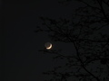 themos / Photo / fun with crescents - 6x zoom PowerShot