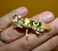valkyrie / Photos / Petal2