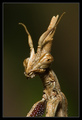 valkyrie / Photos / conehead