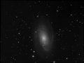 whiplash / Photos / M81 Kelling