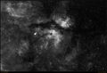 winfij / Photo / IC1318 - Butterfly Nebula